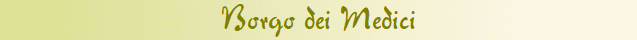 Borgo dei Medici