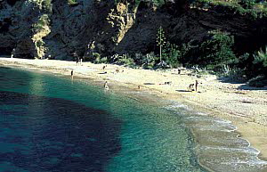 Der Barabarca Strand