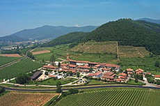 Monticelli Bruscatti