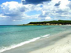 Residence Sa Playa
