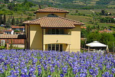 Villa Veridiana