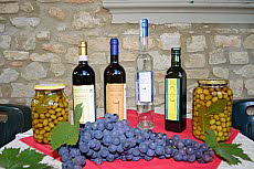 Weingut Borgo Orti, Toskana, Ferienwohnungen