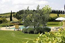 Castellare di Tonda: Gehft Pietrafitta