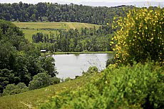 Castellare di Tonda: Gehft Pietrafitta