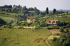 Castellare di Tonda: Gehft Pietrafitta