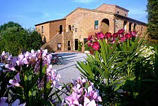 Weingut Borgo delle More